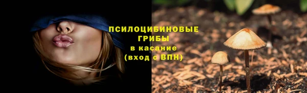 наркотики Богородицк