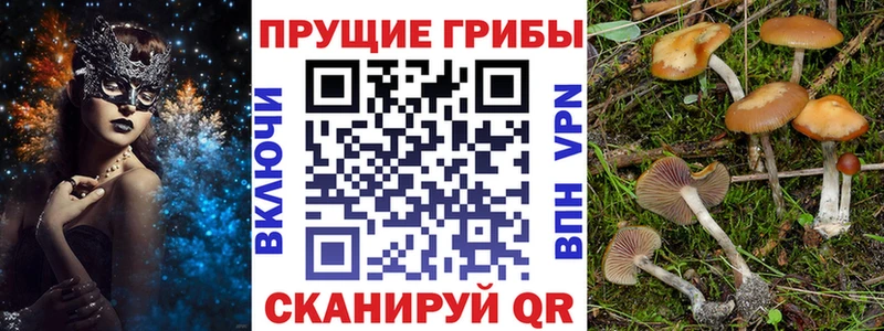 Купить закладки  Яровое  Псилоцибиновые грибы мухоморы 
